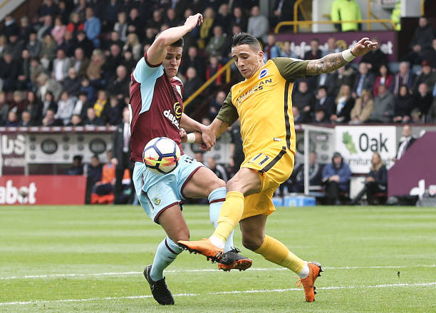 养方面的声 养方面的声